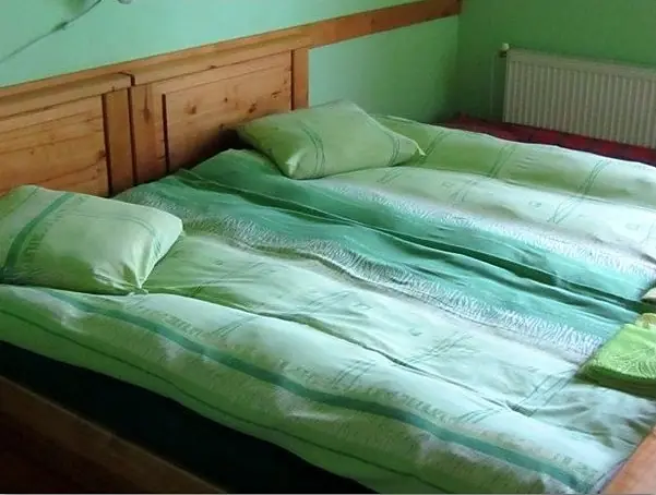 Divvietīgs numurs ar zaļu gultasveļu