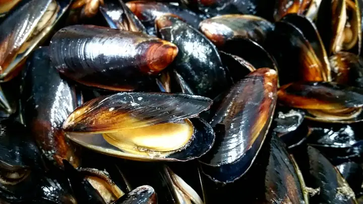 Zilās gliemenes